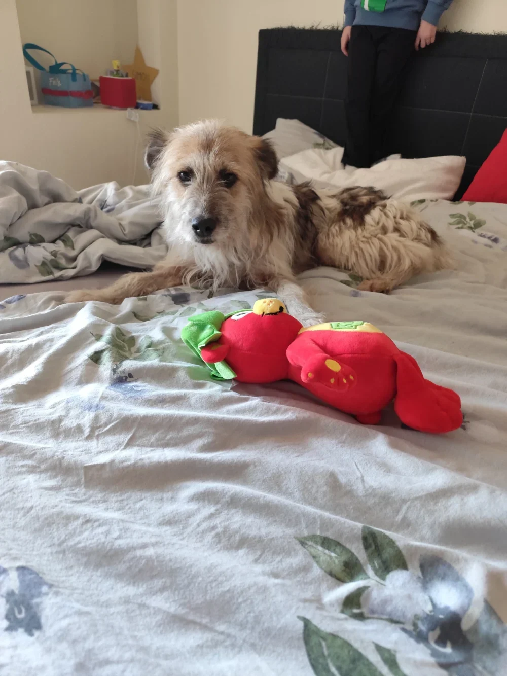 IMG 20251122 135406.jpg