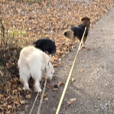 Oskar und Pablo