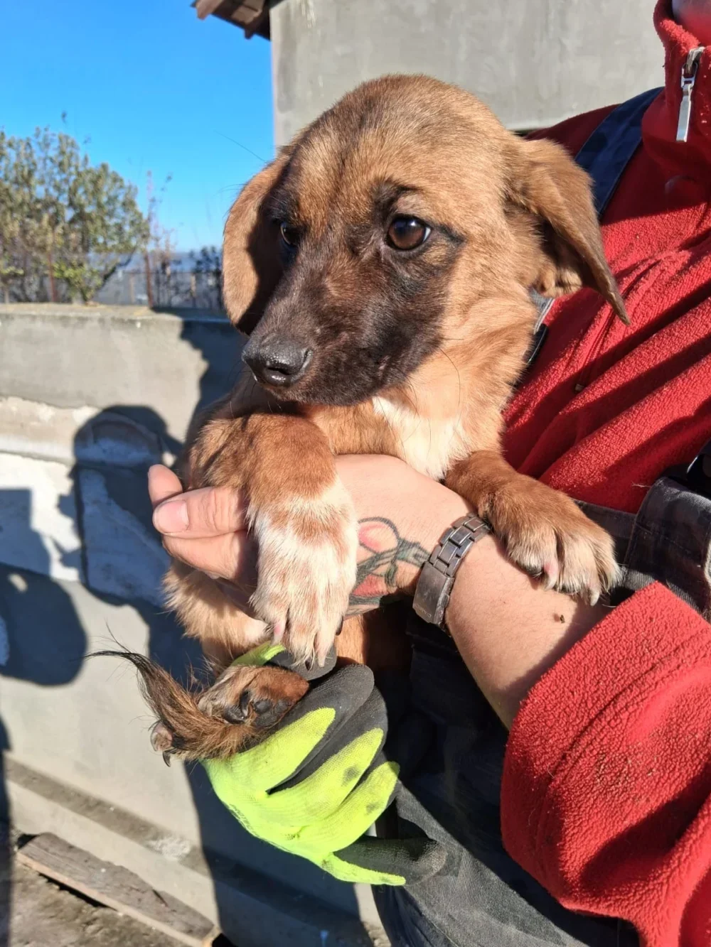 WhatsApp Image 2025 11 24 at 13.40.07 (2)