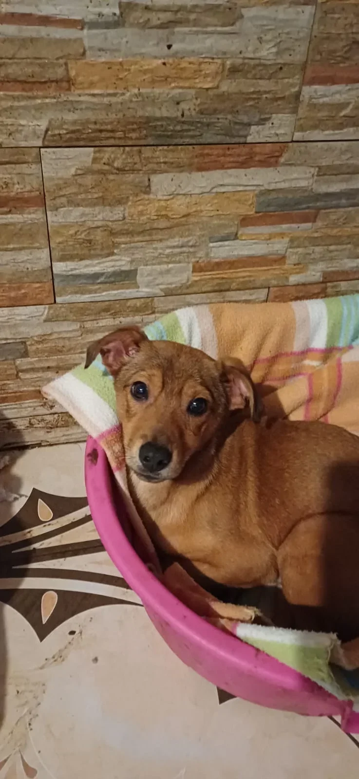 WhatsApp Image 2026 01 01 at 17.54.47