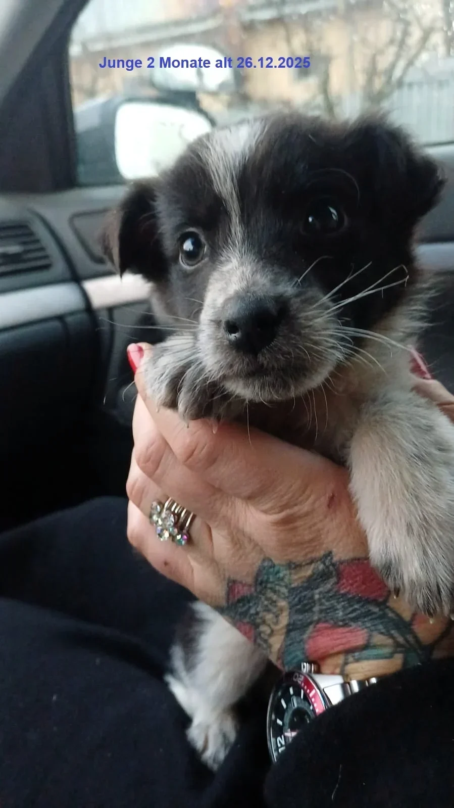 Sam 26.12.2025 Patin Ellen Reinspach (1)