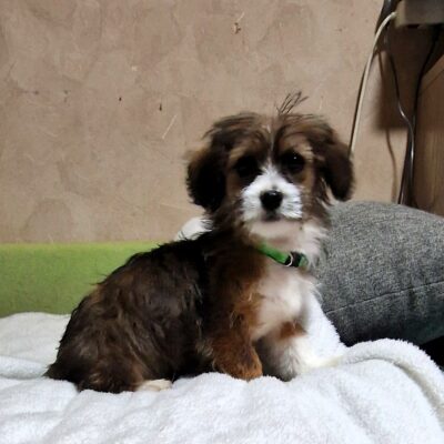Nelly 03.04 (8)