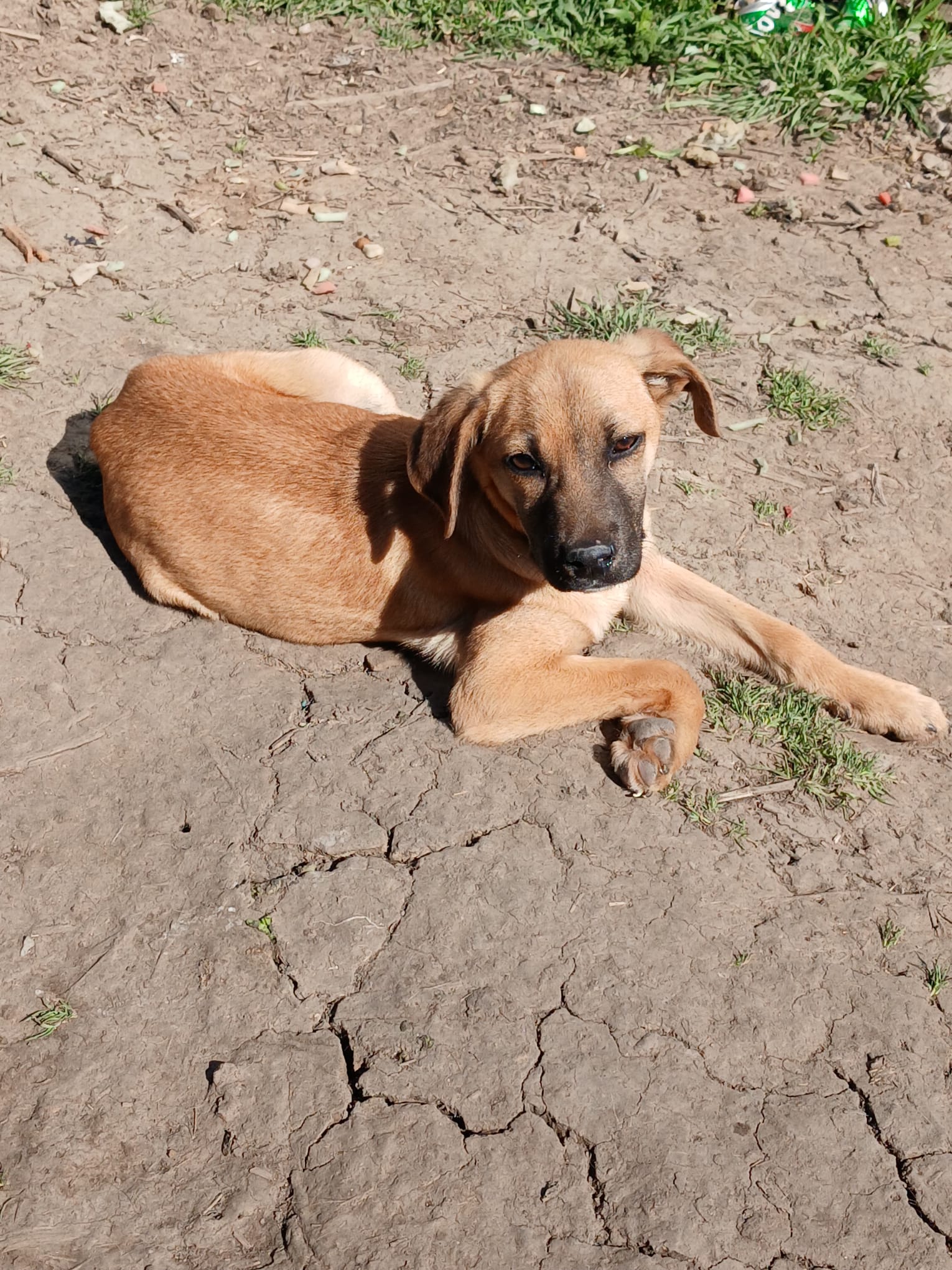 Rudi 24.04 (1)