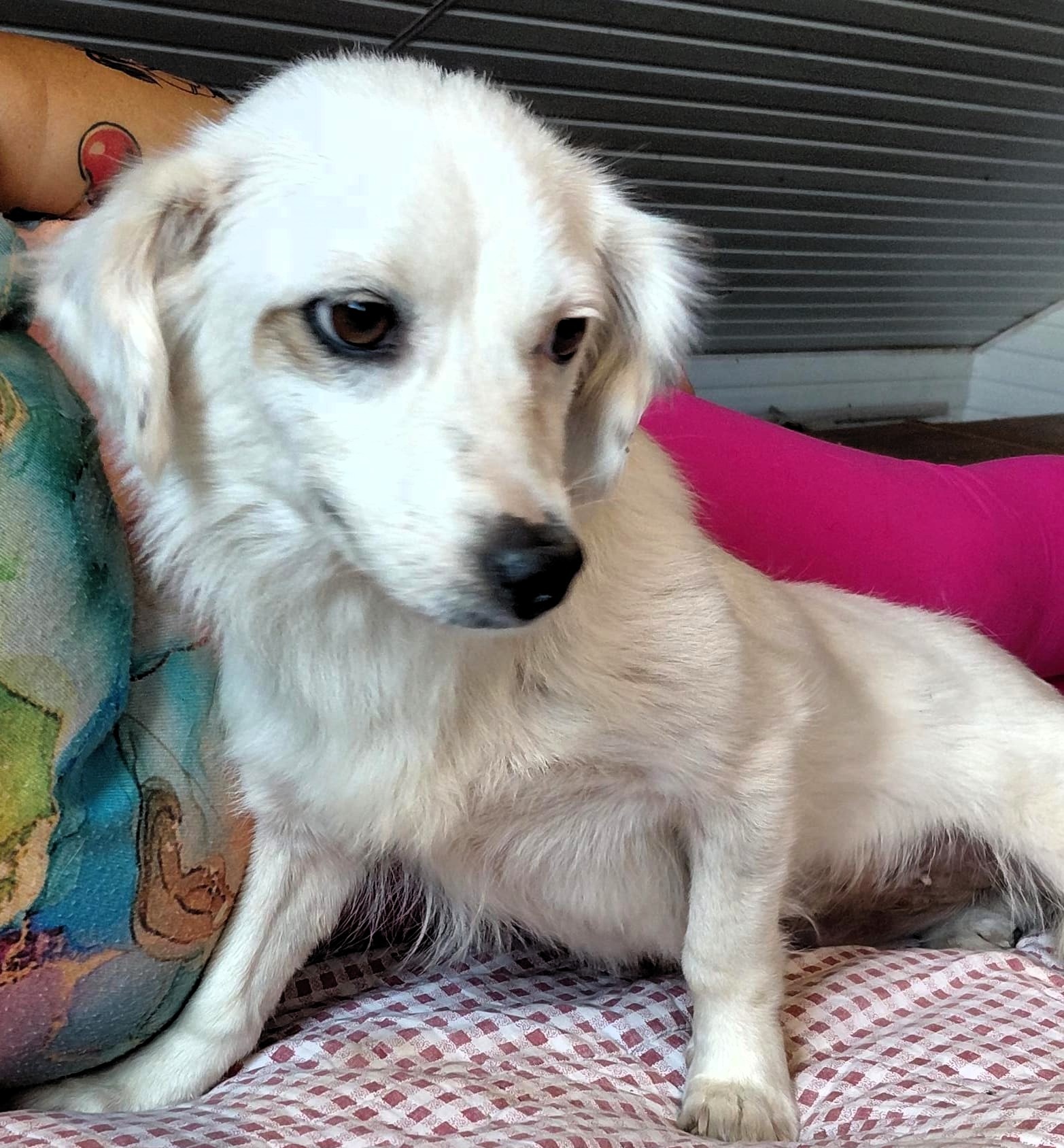Bibi 19.07 (12)