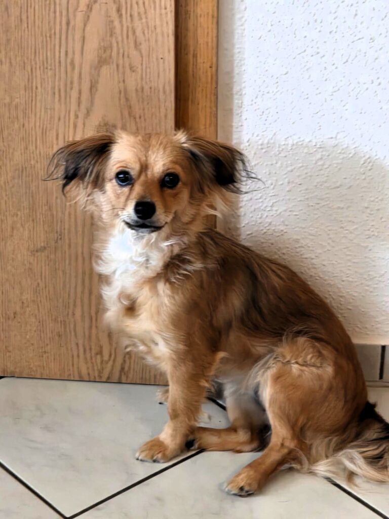 Perla 21.07 (5)